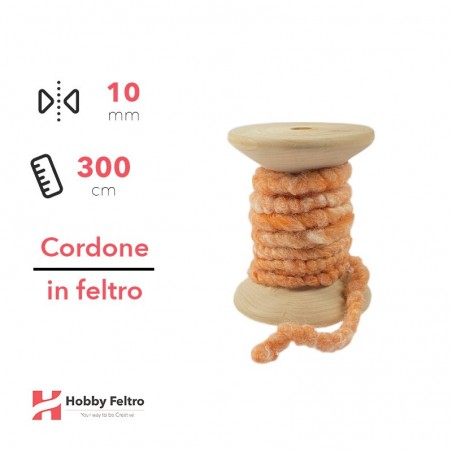 Cordone in Feltro di Lana Salmone 10mm 3 metri cG22