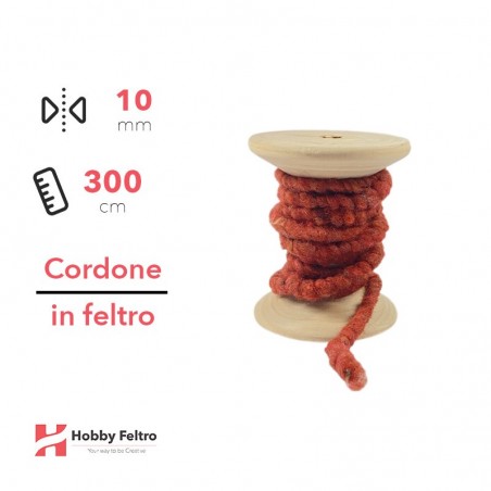 Cordone in Feltro di Lana Mattone 10mm 3 metri cG04